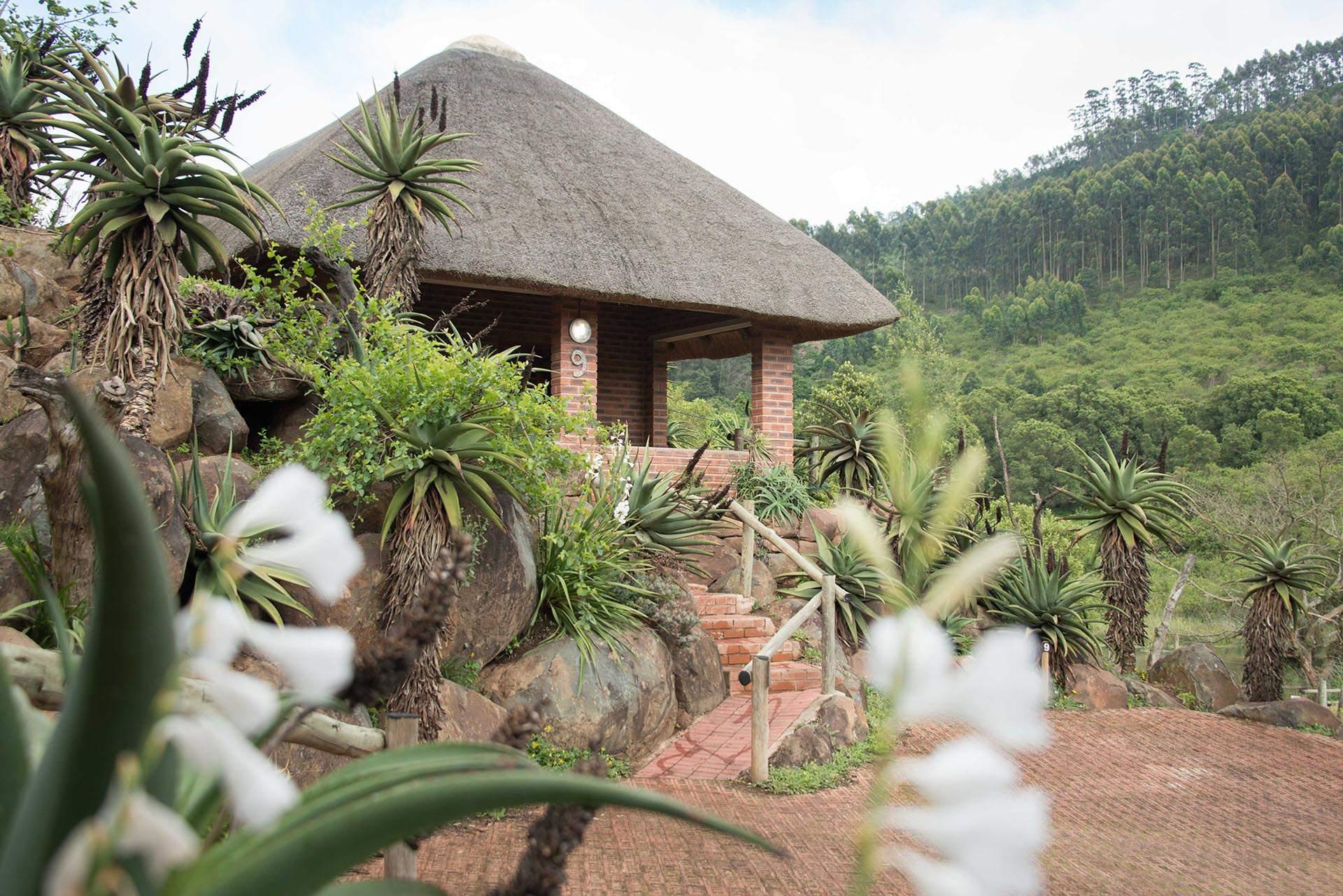 accommodation at iNsingzi