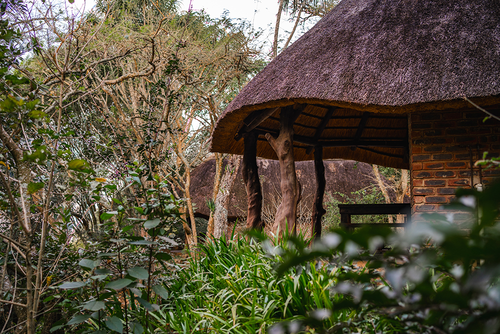 iNsingizi Lodge Forest 7